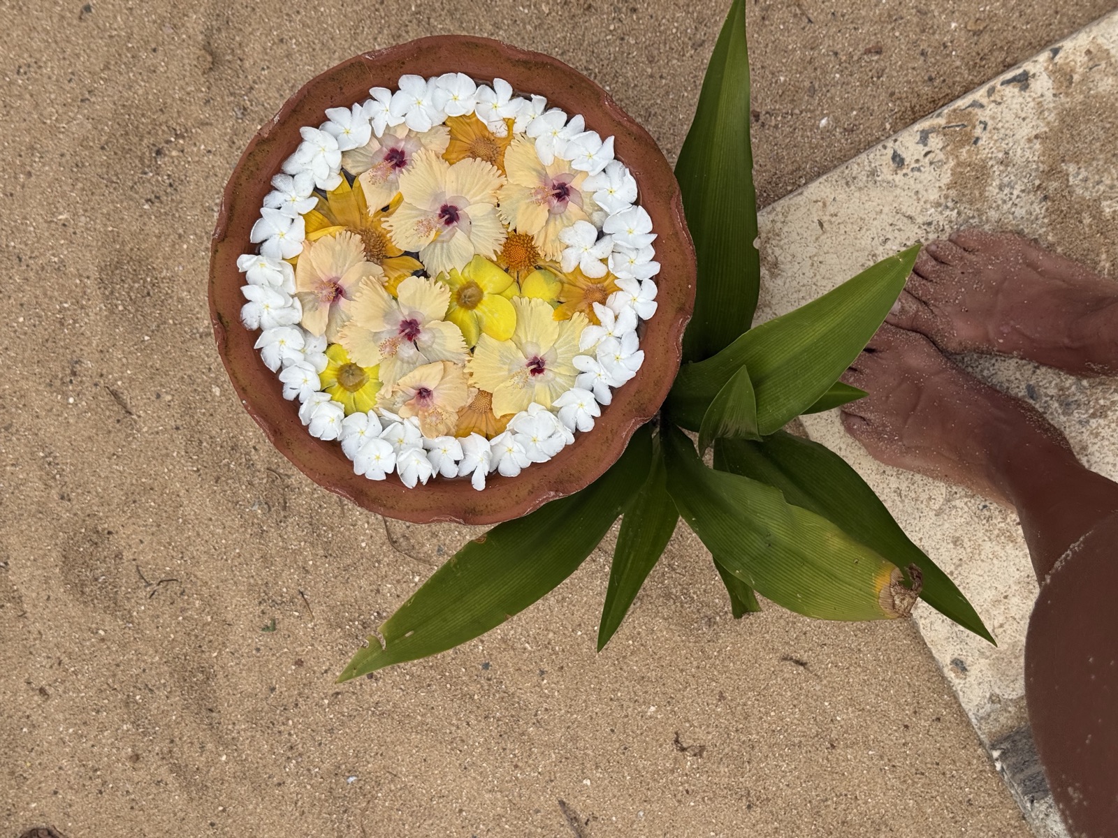 Welcome flower bowl