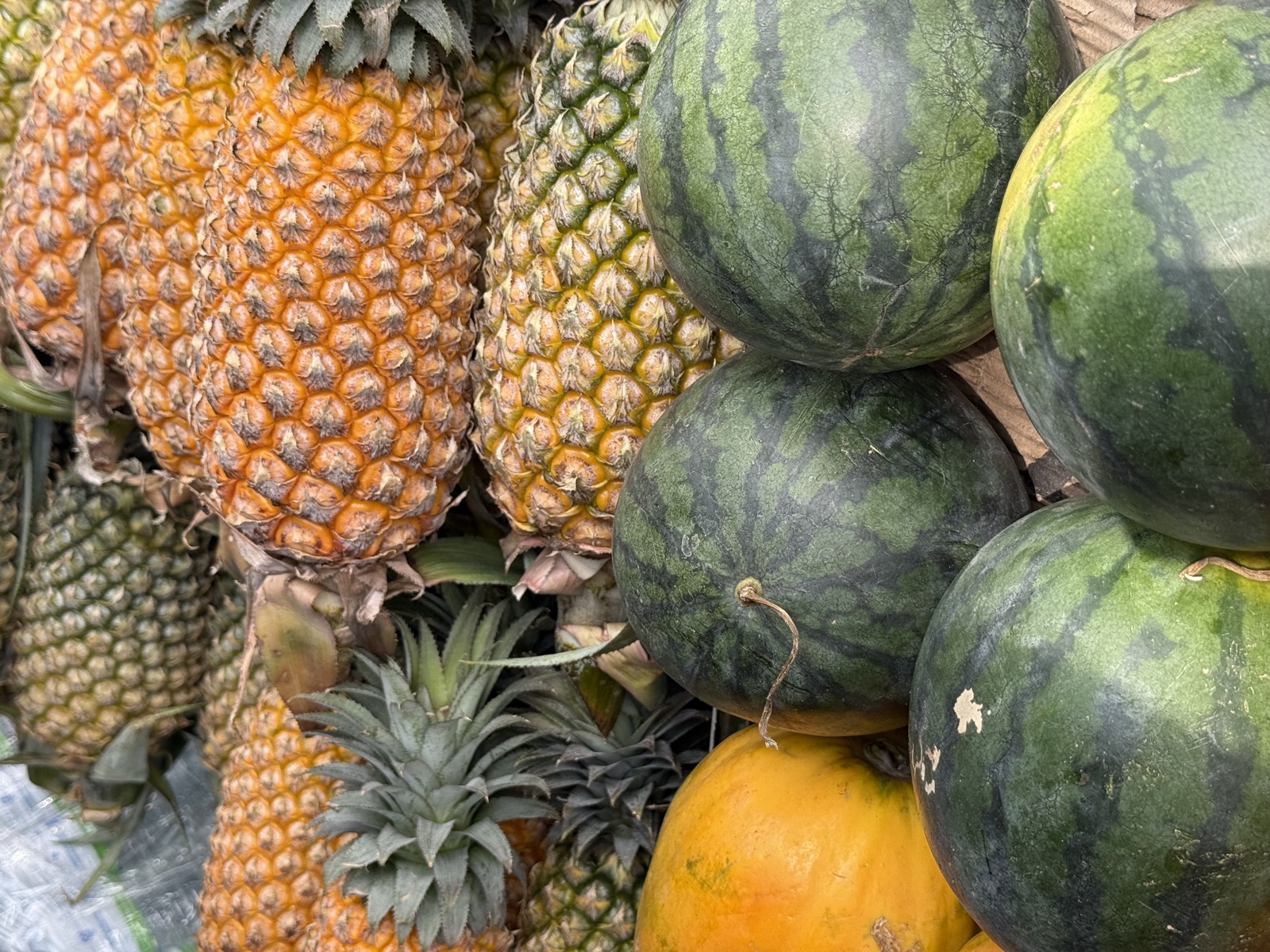 Fresh local fruit