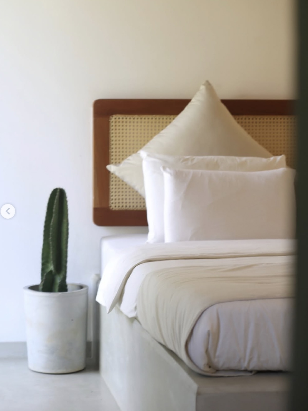 Room corner with a cactus
